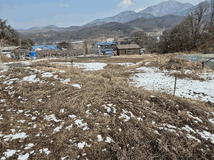 물건 사진 19