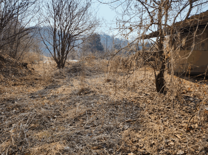 물건 사진 22