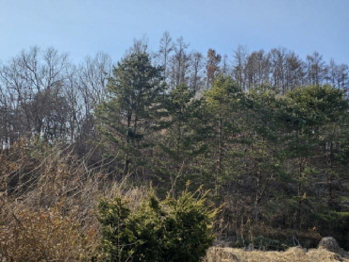 물건 사진 5