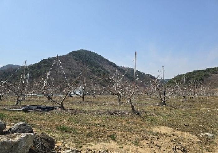 물건 사진 1
