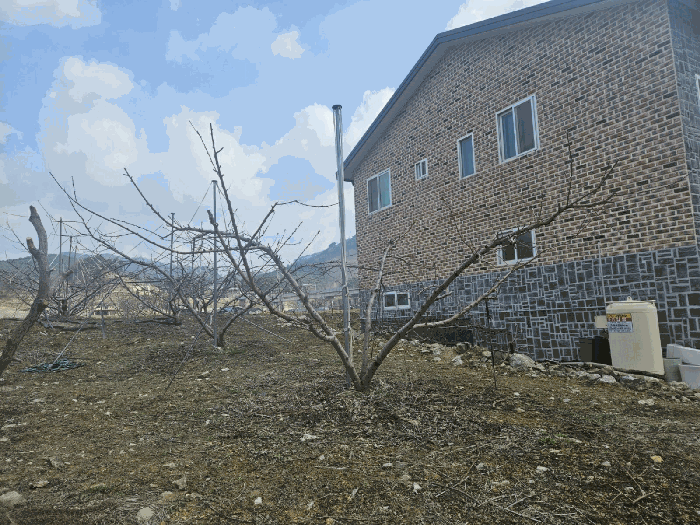 물건 사진 15