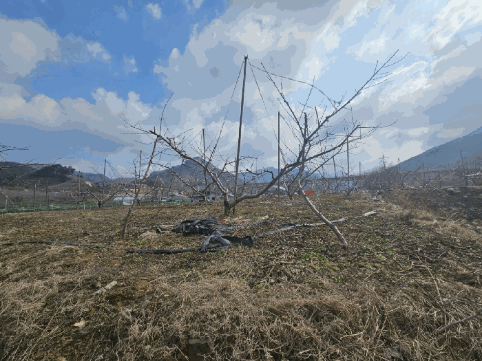 물건 사진 8