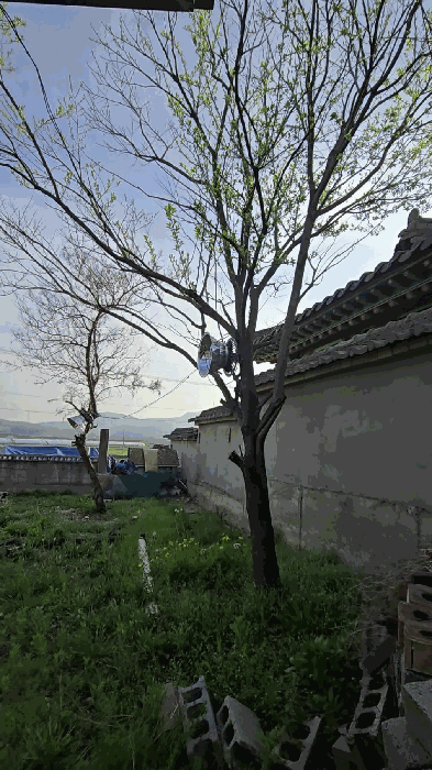 물건 사진 14