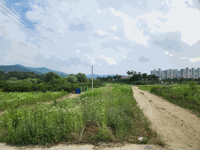 물건 사진 19