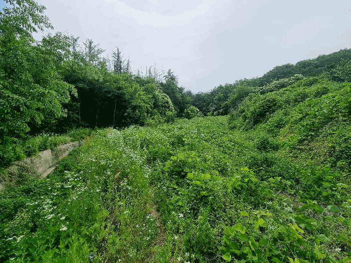 물건 사진 28