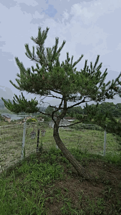 물건 사진 15