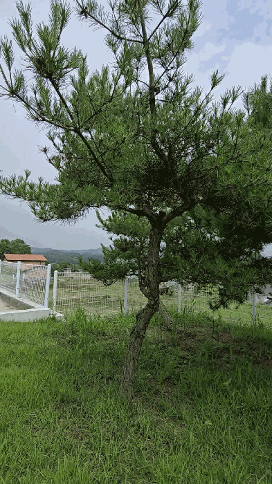 물건 사진 25