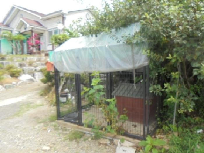 물건 사진 1