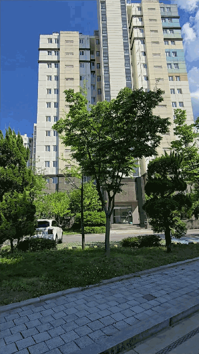 물건 사진 11