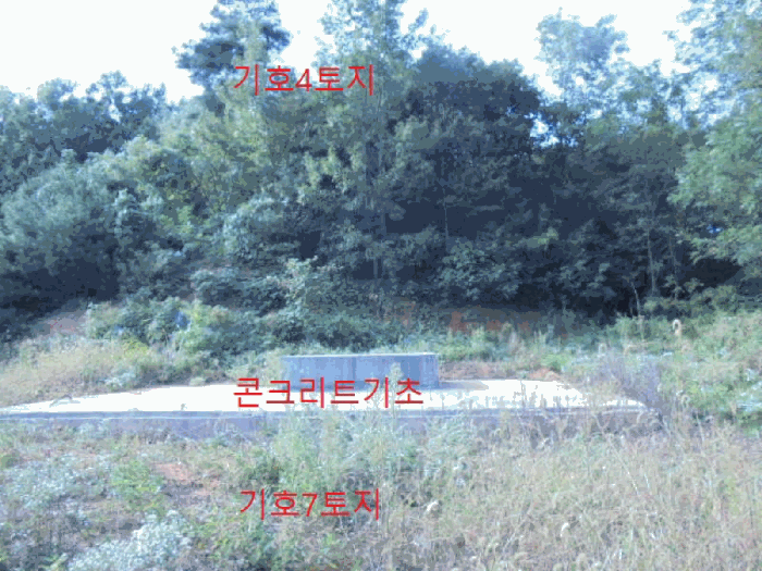 물건 사진 43