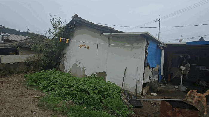 물건 사진 11