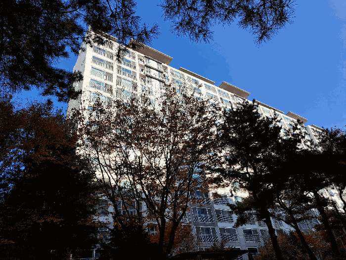 물건 사진 7