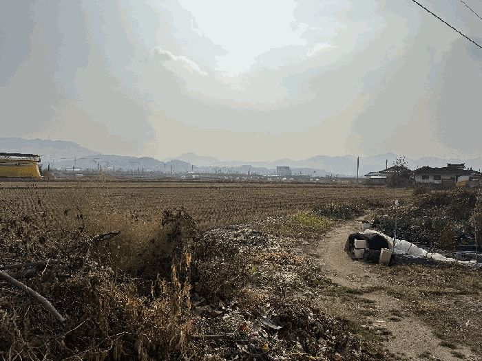 물건 사진 12