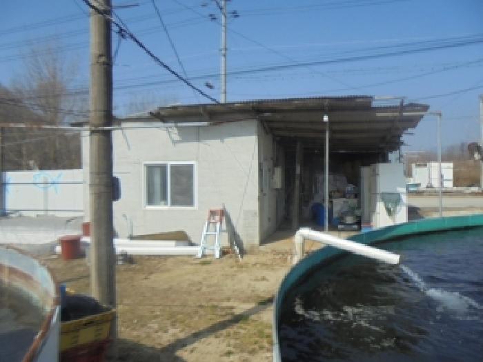물건 사진 11