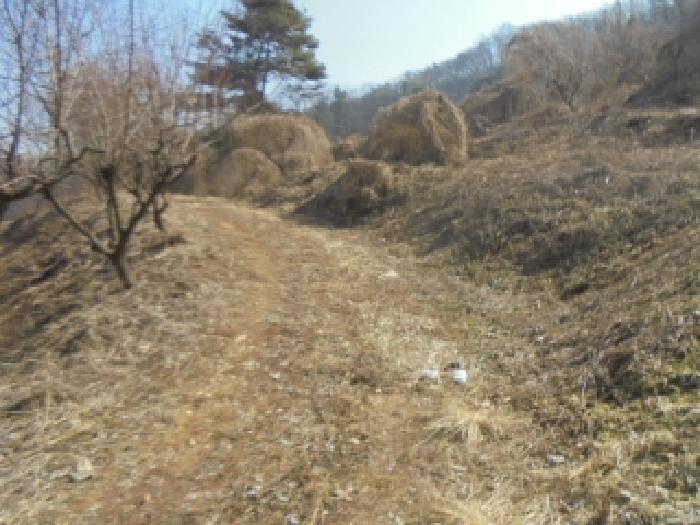 물건 사진 16