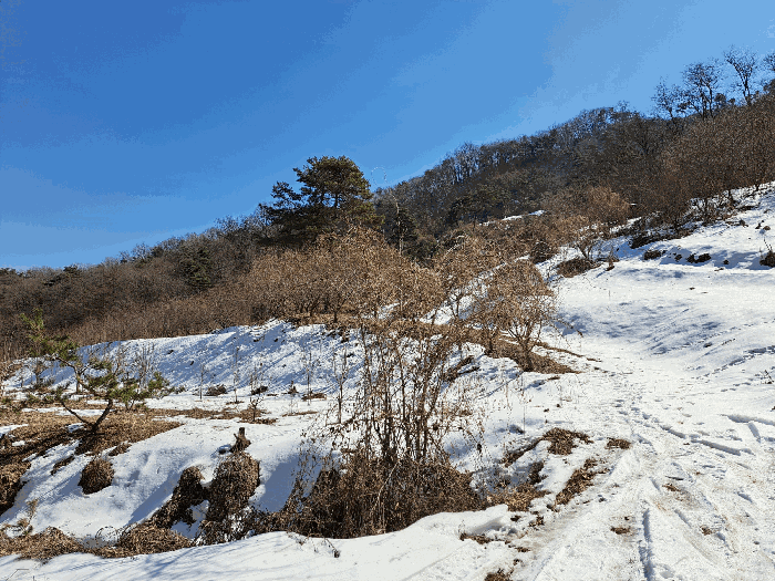 물건 사진 35