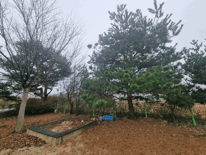 물건 사진 22