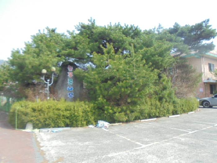 물건 사진 7
