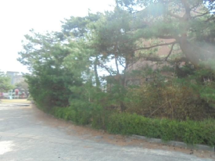 물건 사진 10