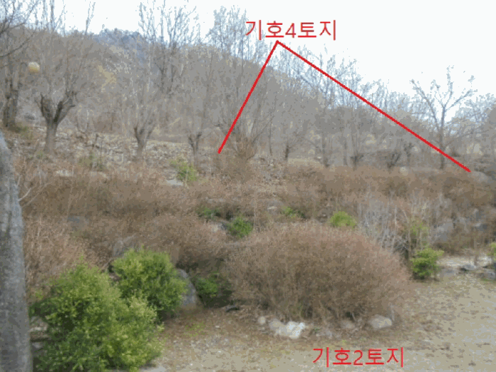 물건 사진 25