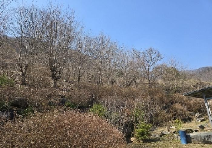 물건 사진 4