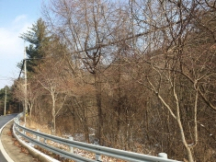 물건 사진 11
