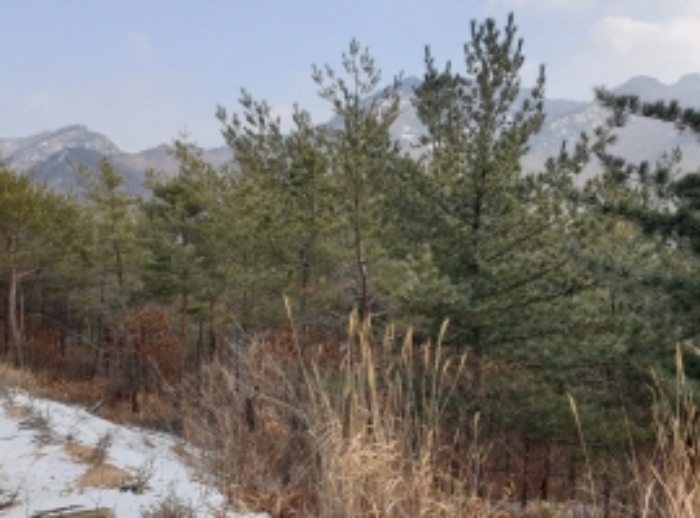 물건 사진 105