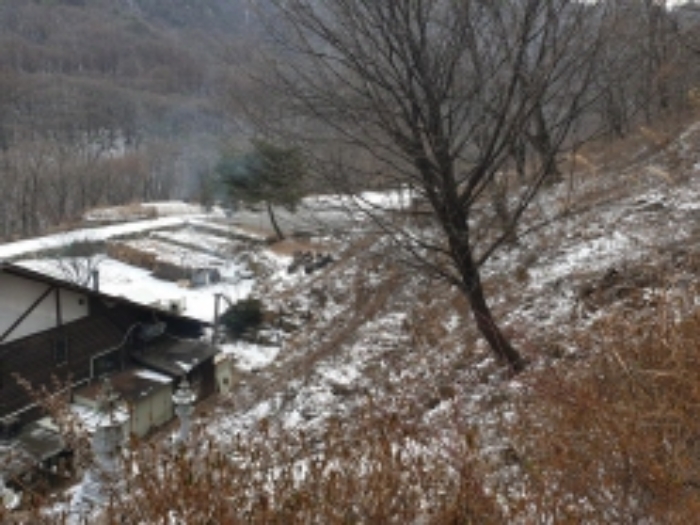 물건 사진 106