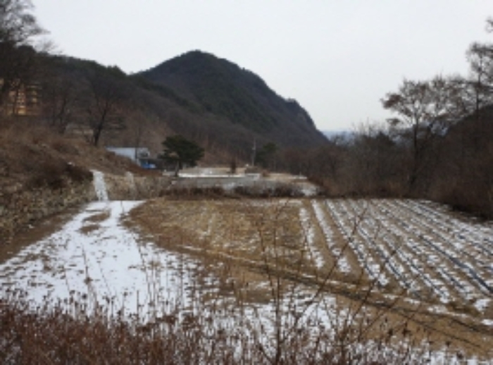 물건 사진 115