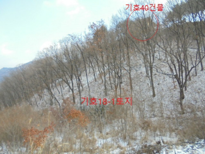 물건 사진 139
