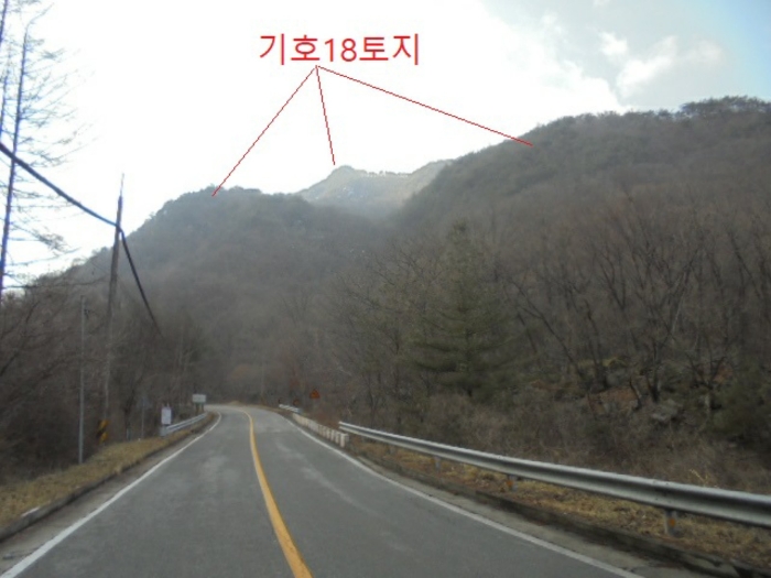 물건 사진 141