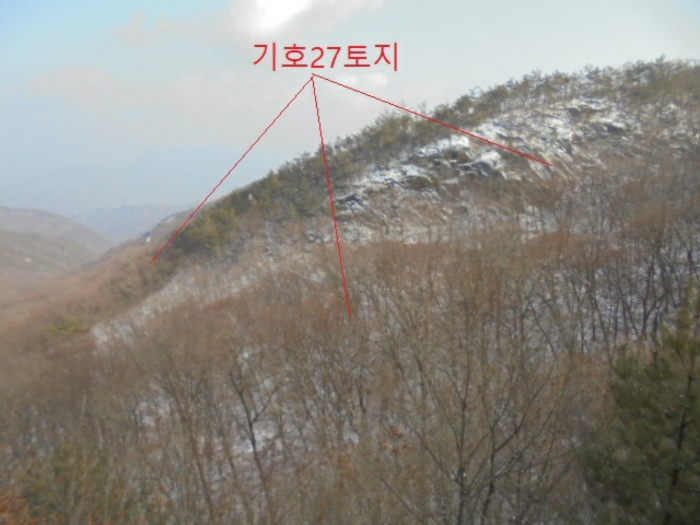 물건 사진 142