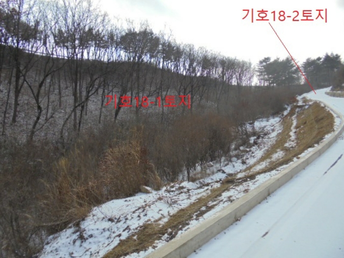 물건 사진 146