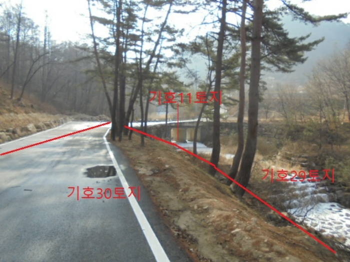 물건 사진 156