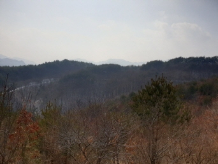 물건 사진 17