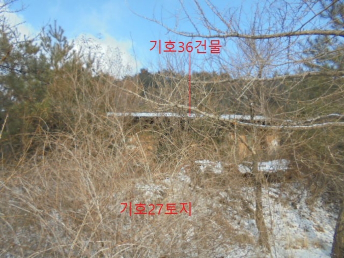 물건 사진 161