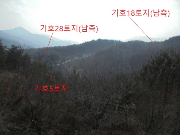 물건 사진 171