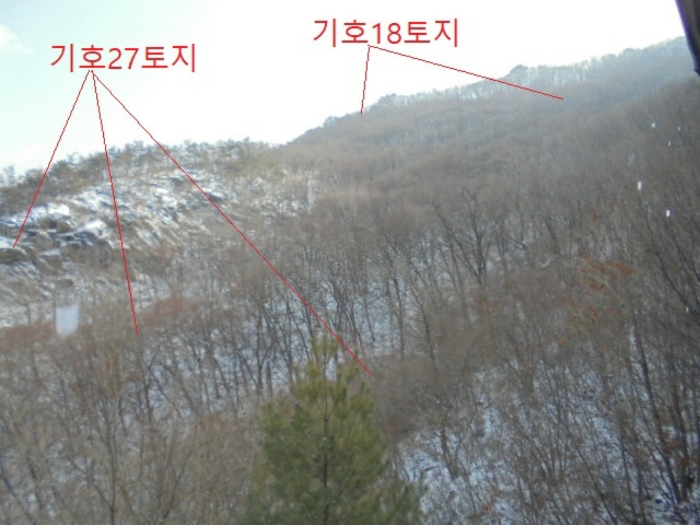 물건 사진 174