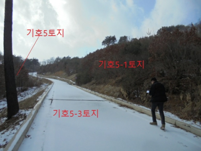 물건 사진 177