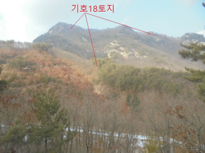물건 사진 178