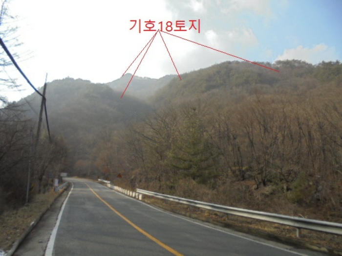 물건 사진 184