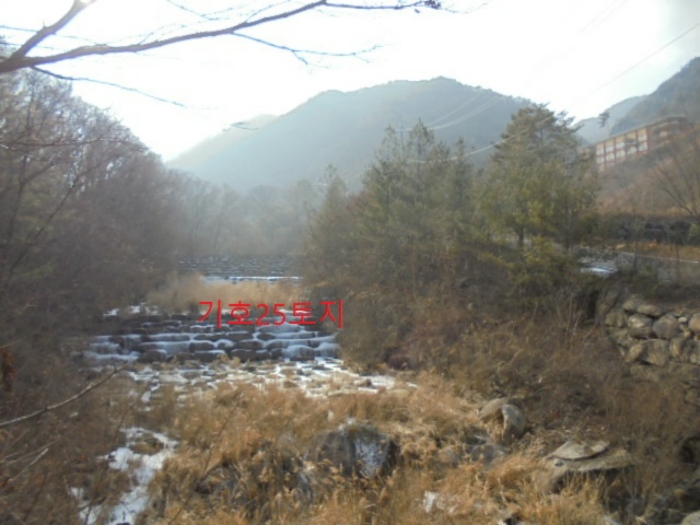 물건 사진 190