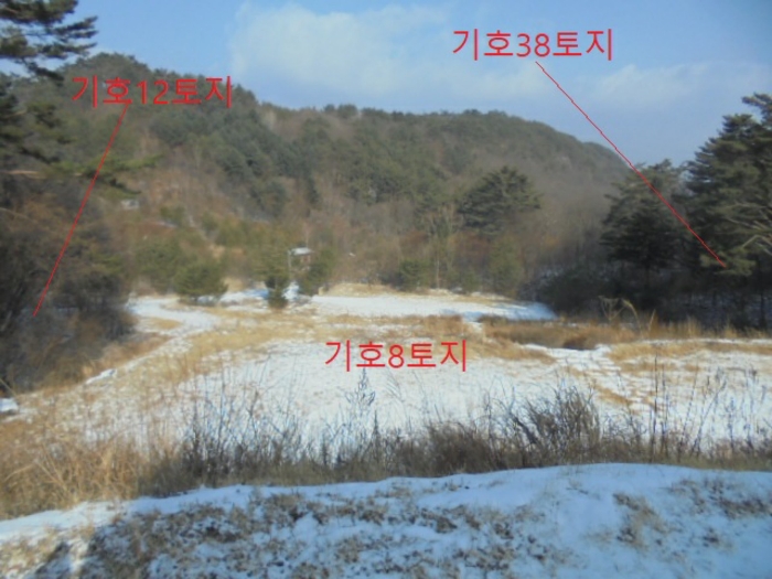 물건 사진 195