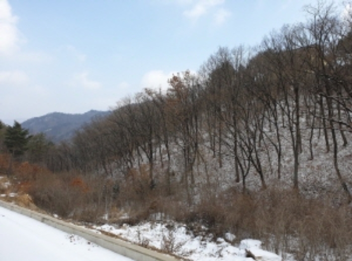 물건 사진 4