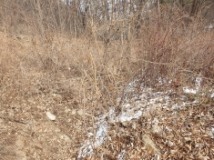 물건 사진 34