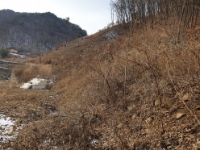물건 사진 35