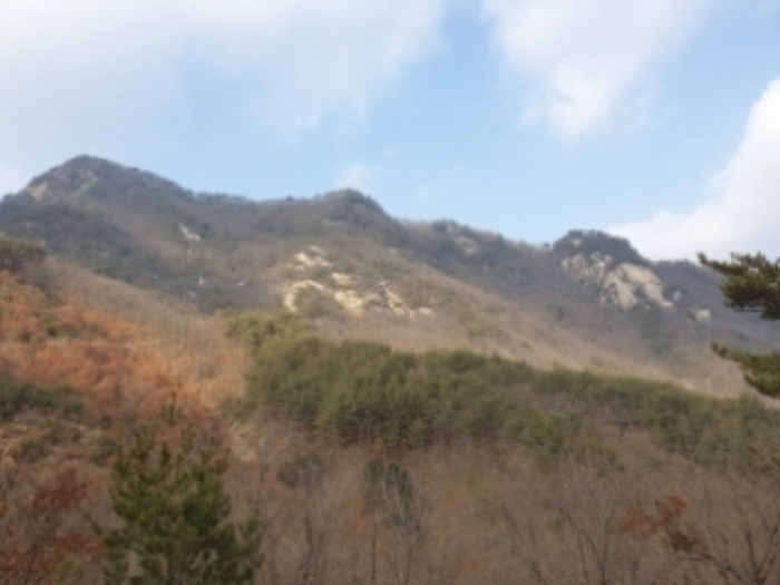 물건 사진 51