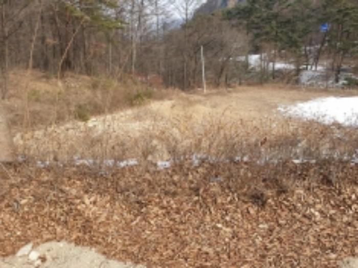 물건 사진 54