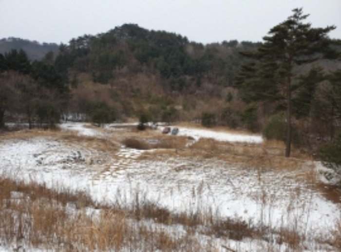 물건 사진 58