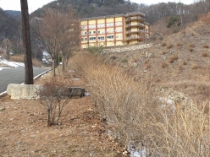 물건 사진 66